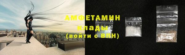 гидра Няндома