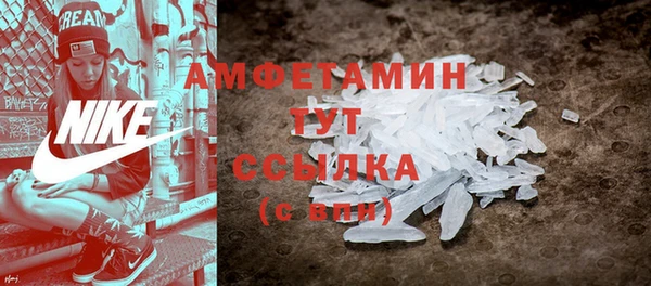 меф Дмитриев