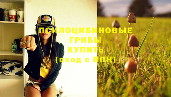 тгк Дмитров