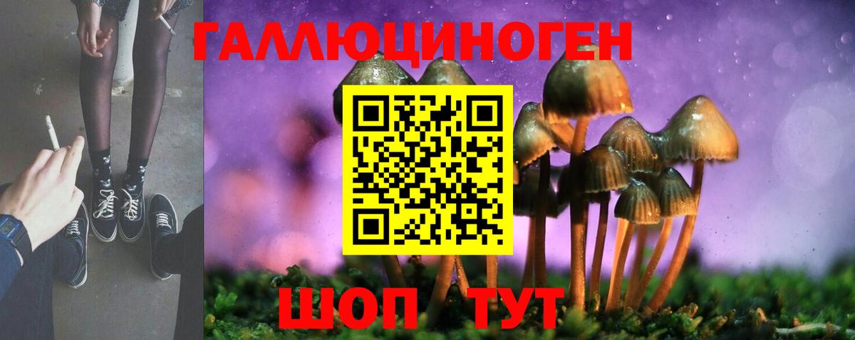 Псилоцибиновые грибы GOLDEN TEACHER  Куйбышев 